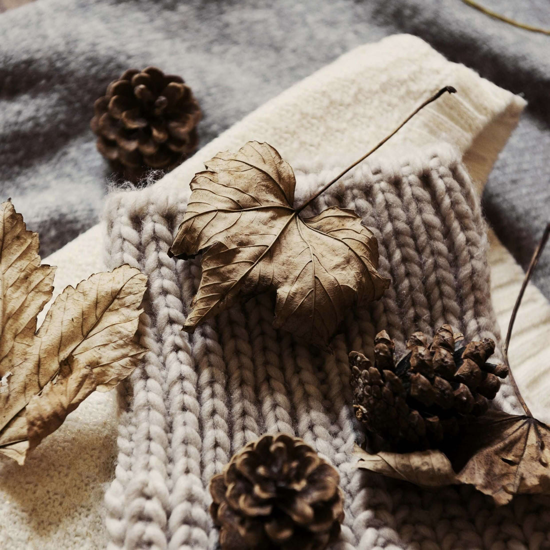 Sourcing Knitted Sweaters with textured fabric, dried leaves, and pinecones in an autumn setting.
